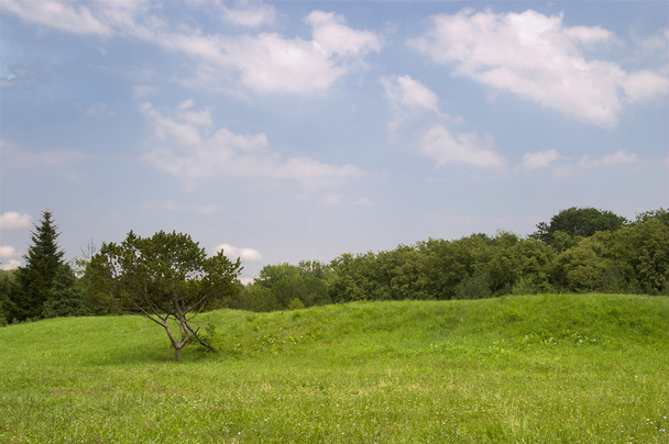 Meadow landscape - Fotografie, Obrázek
