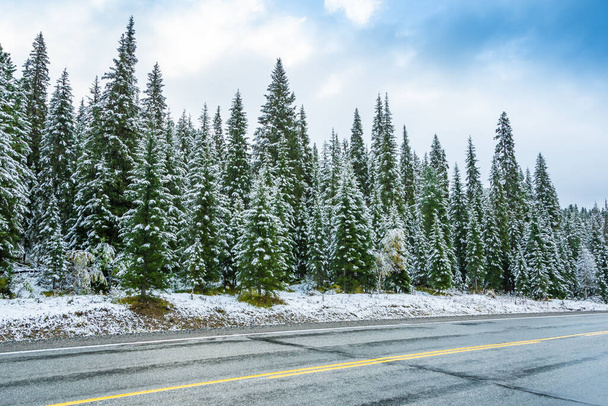 冬のアスファルト道路の氷、山への道路の旅、森の中の道路、途中で危険な寒さのスナップ - 写真・画像