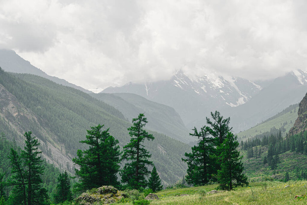 silueta pohoří v oparu na obzoru v horském údolí. Turistika v divočině - Fotografie, Obrázek