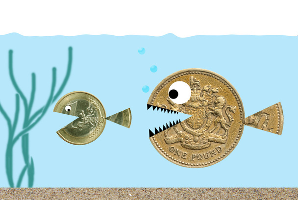 pond chasing euro - Foto, afbeelding