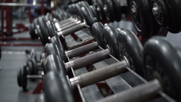 Shooting of dumbbells in fitness gym - Footage, Video