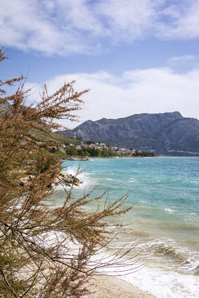 Με θέα την Αδριατική Θάλασσα, τη Μεσόγειο Θάλασσα σε μια μικρή πόλη κοντά στο Σπλιτ. Σε πρώτο πλάνο μπορεί να δει κανείς ένα αρμυρίκι, ένα τυπικό δέντρο της Μεσογείου. - Φωτογραφία, εικόνα