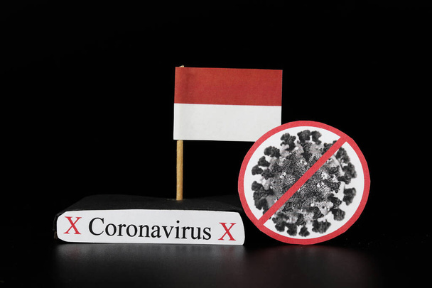 Indonesia is one of many lands affected by coronavirus. Covid-19 is a type of group of RNA viruses that cause variety of diseases in humans, mainly respiratory tract. Viral disease. Panic atmosphere. - Photo, Image