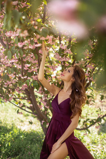 Woman at Blossoming Sakura Tree on Nature - Фото, изображение