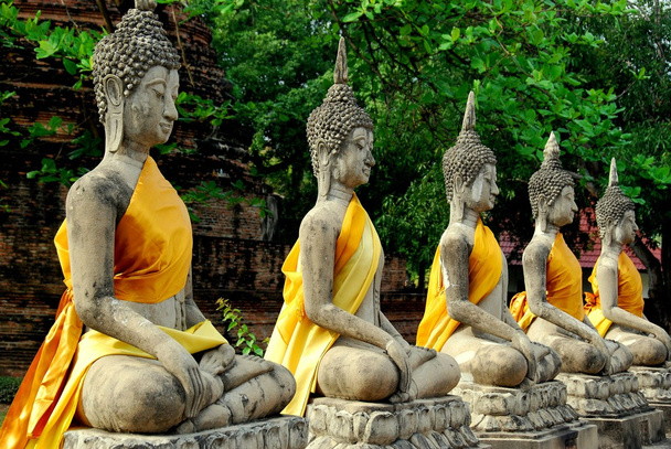 Ayutthaya, Tailandia: Fila de Budas en Wat Yai Chai Mongkon
 - Foto, imagen
