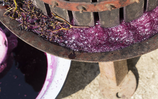 A fazer vinho. Tecnologia de produção de vinho na Moldávia. A antiga tradição popular de processamento de uvas. O espremedor é usado para pressionar o vinho
.  - Foto, Imagem