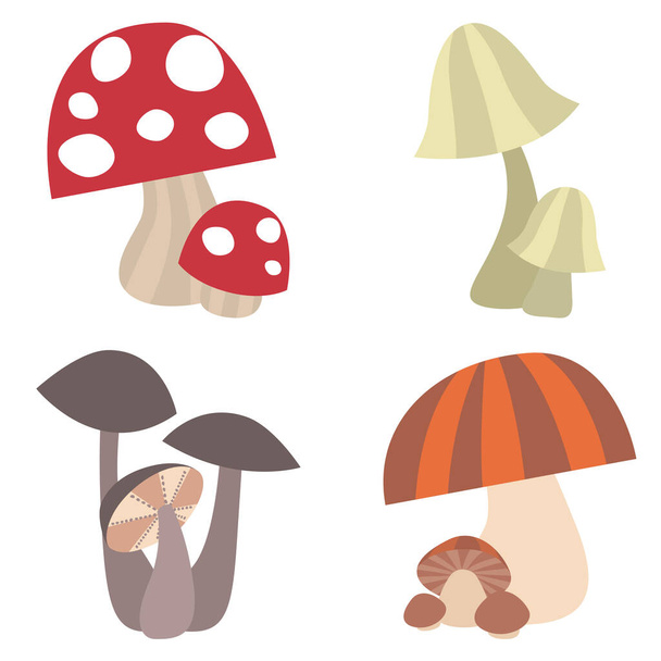 Brightly Colored Different Types of Mushrooms illustrated Set Vector - Vector, Imagen