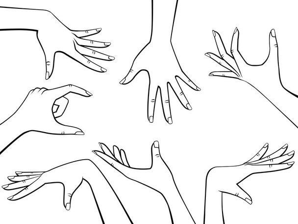 Vector ontwerp elementen set van mooie vrouw handen zwart omtrek geïsoleerd op wit - Vector, afbeelding