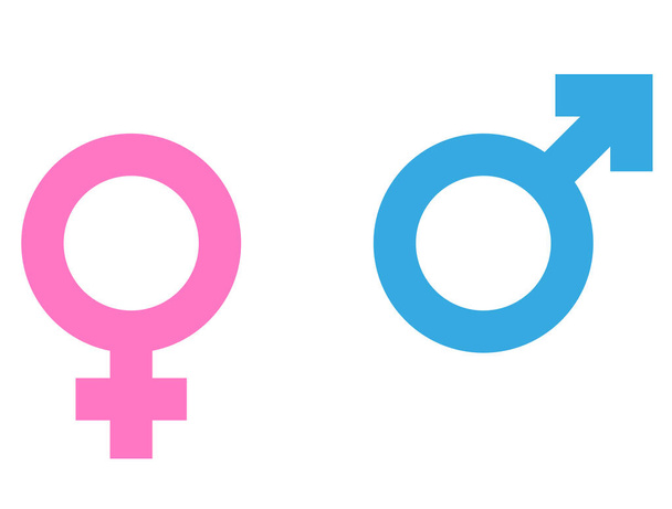 male and female gender symbols or icons vector - Wektor, obraz