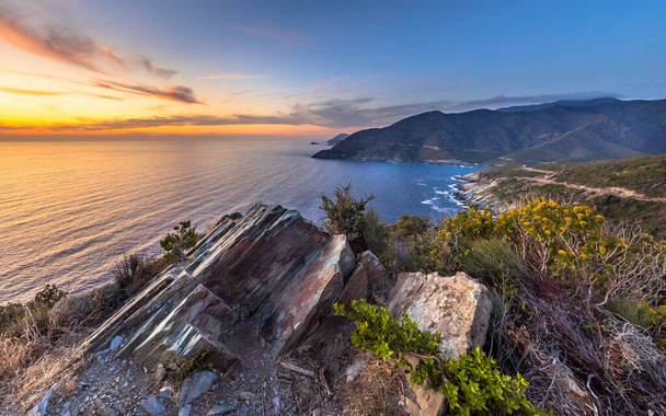 Fransa 'nın Korsika adasındaki Cap Corse yarımadası üzerinde bitki örtüsü ve manzaralı sanatsal tortul kaya yapıları. - Fotoğraf, Görsel