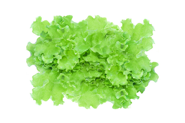 Salade de laitue verte isolée sur fond blanc. avec chemin de coupe. - Photo, image