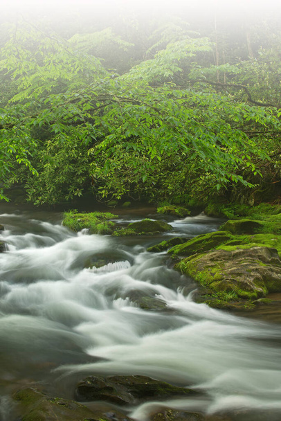 Foggy spring landscape of the Oconaluftee River framed by branches and captured with motion blur, Great Smoky Mountains National Park, North Carolina, USA - Photo, Image