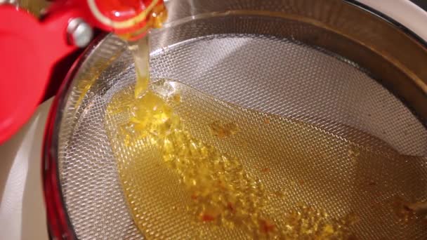 O mel flui do extrator no escorredor colocado em um balde branco.Fluxo de mel fresco está vazando de um extrator centrífugo para o filtro feito de grades de aço inoxidável, peneira. H.264 codec de vídeo
 - Filmagem, Vídeo
