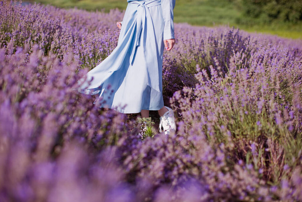 Donna in abito blu e scarpe bianche al campo di lavanda
. - Foto, immagini