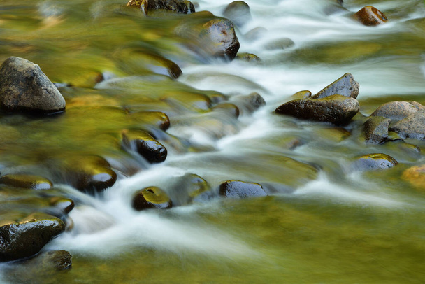 Little River rapids captured with motion blur and illuminated by reflected color from sunlit spring foliage, Great Smoky Mountains National Park, Tennessee, USA - Photo, Image