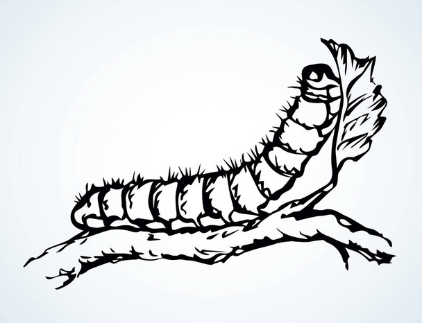 Makro görüntüyü kapat. Büyük vahşi bahçe yeşil kıllı kelebek larvası bacağı. Açık beyaz kağıt metin alanı. Ana hatları siyah mürekkep çizili şirin büyüme çubuğu logosu pictogram tasarımı sanat doodle eskiz retro tarzı - Vektör, Görsel