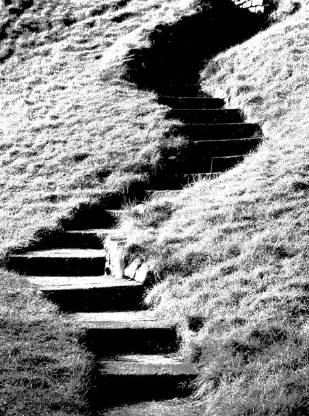 monochrome semi-abstract of twisting steps up a grassy hill - Fotografie, Obrázek