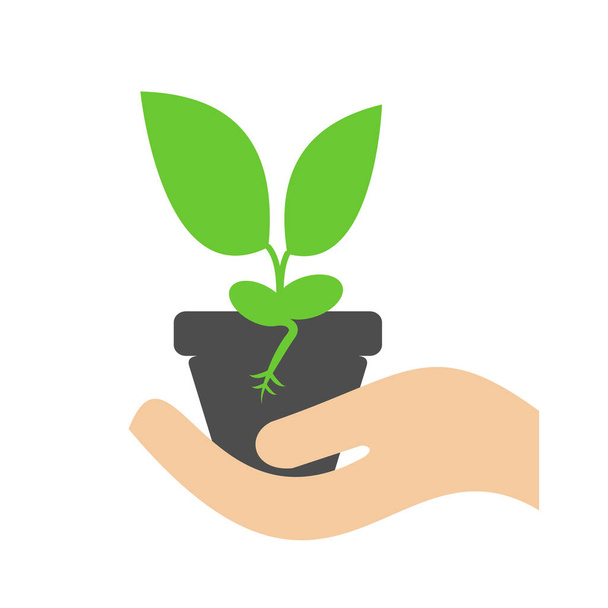 Ein Topf mit einer Pflanze in der Hand. Vektorsymbol zeigt Pflanzenwachstum. - Vektor, Bild