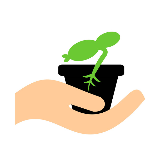 A pot with a plant in hand. Vector icon showing plant growth. - Vector, Image