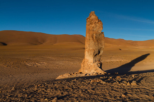 Monjes de la Packana alla luce del mattino presto, deserto di Atacama, Cile
 - Foto, immagini