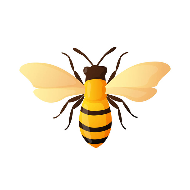 Insecto colorido brillante de la abeja aislado en blanco
. - Vector, imagen