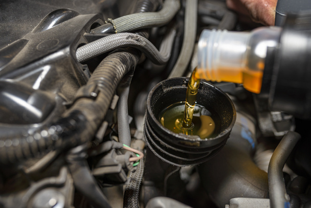 Car mechanic pours new car oil into the engine from a plastic tank in a car workshop. - Photo, Image