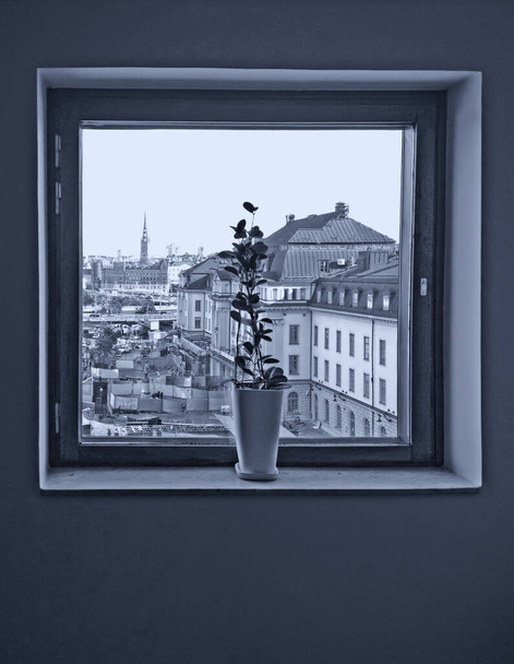 Wazon i okno. Widok przez okno na dworzec kolejowy, Sztokholm, Szwecja. Modne tonizowanie - Zdjęcie, obraz