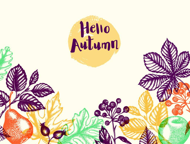 Autumn background with falling leaves, fruits and berries. Vintage vector hand drawn autumn floral banner for seasonal sale. - Vector, Image