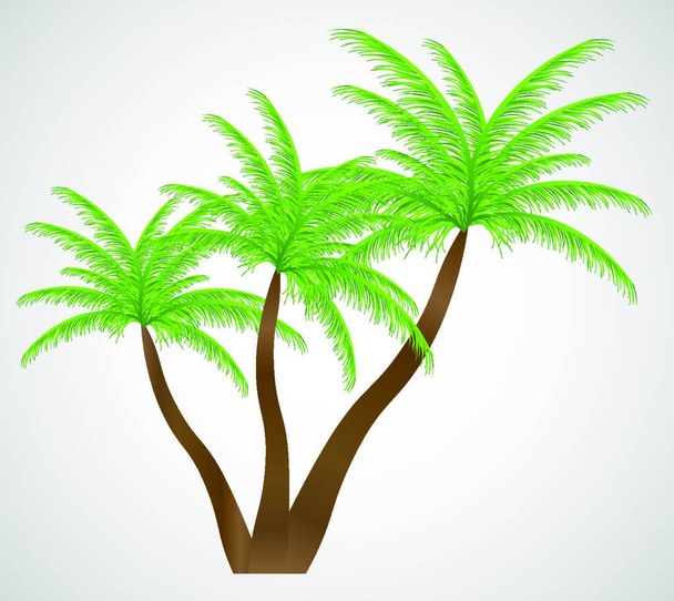 Palm in the sunset. Vector illustration. EPS 10. - Vector, afbeelding