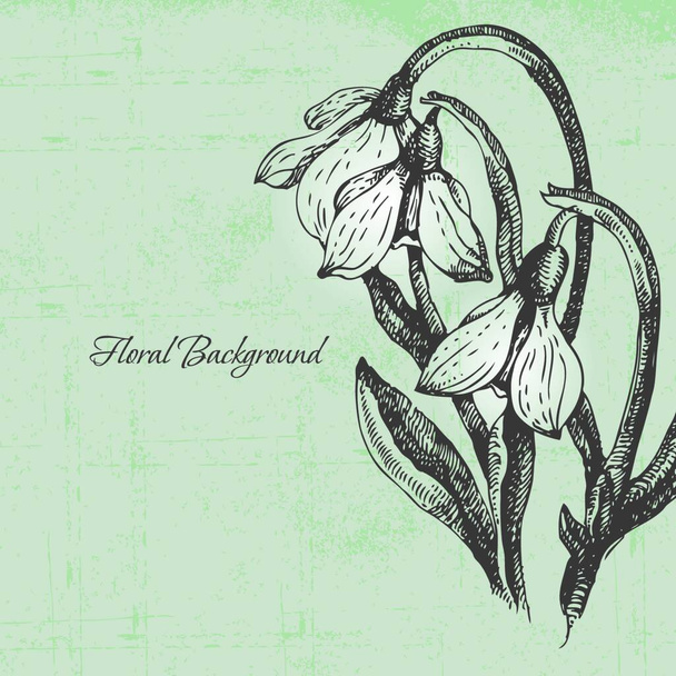 Floral background with snowdrop in retro style - Vector, afbeelding