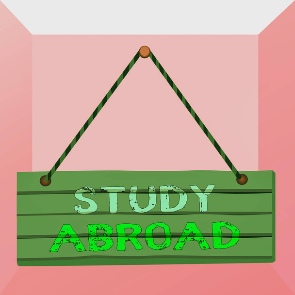Conceptual hand writing showing Study Abroad. Business photo text live in a foreign country and attend a foreign university Wood plank nail pin colorful background wooden panel fixed. - Foto, Bild