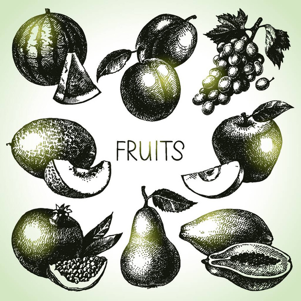 Hand drawn sketch fruit set. Eco foods. Vector illustration - Vettoriali, immagini