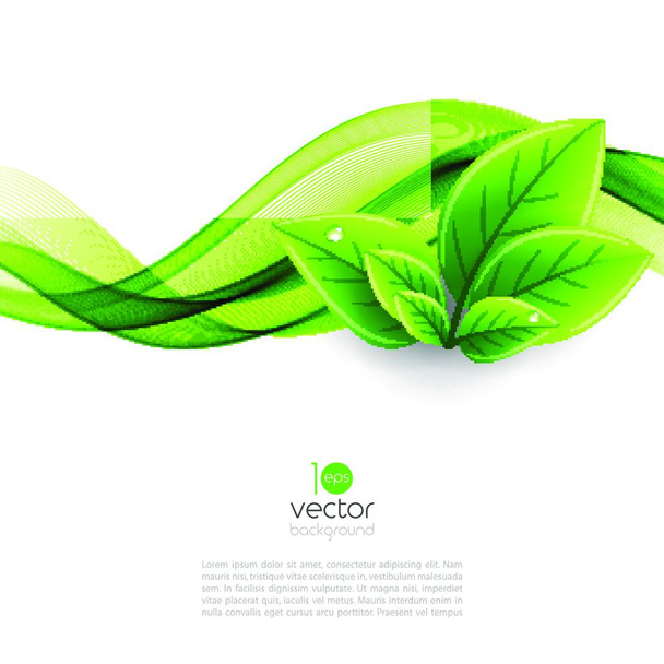 Vektor öko levelek és zöld hullám. Vektor öko levelek és zöld hullám. Absztrakt ökológiai háttér - Vektor, kép