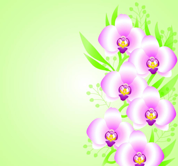 Green vector background with pink  orchids - Vektör, Görsel