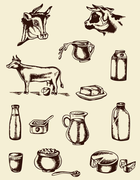 Set of vintage vector hand drawn dairy products and cow - ベクター画像