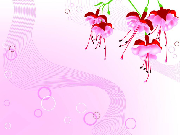 цветочный фон с красными цветами - Вектор,изображение
