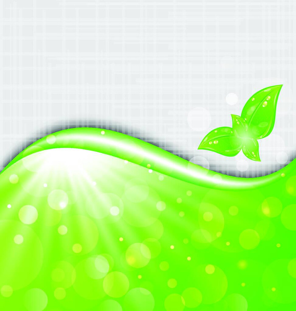 Illustration eco friendly background with leaves - vector - Vetor, Imagem