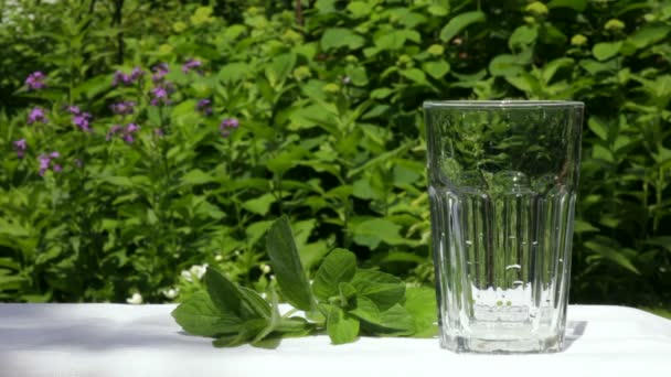 pohár vizet - Felvétel, videó