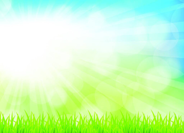 Spring background with grass. Bright illustration - Vector, Imagen