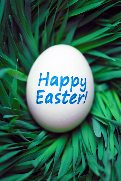 Single Happy Easter egg verborgen in gras - Foto, afbeelding