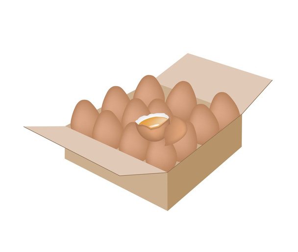 Fresh Chicken Eggs in A Shipping Box - Vector, Image