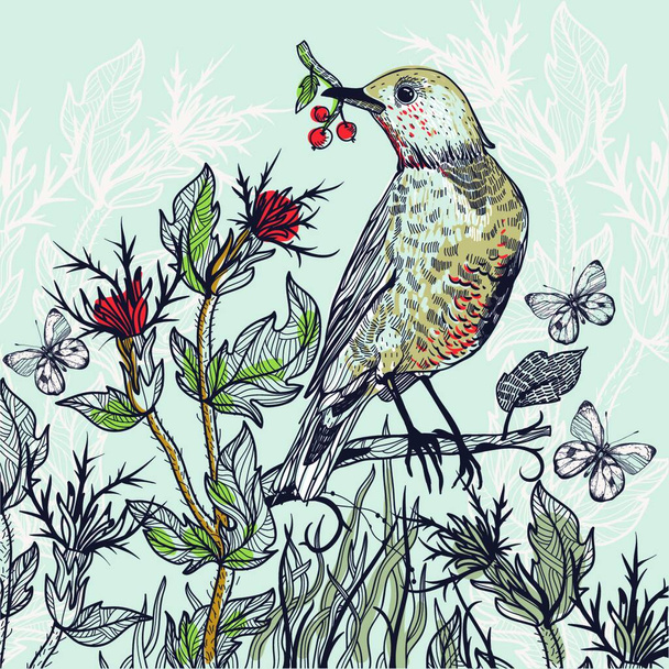 vector illustration of a forest bird and blooming thistle - Vector, afbeelding