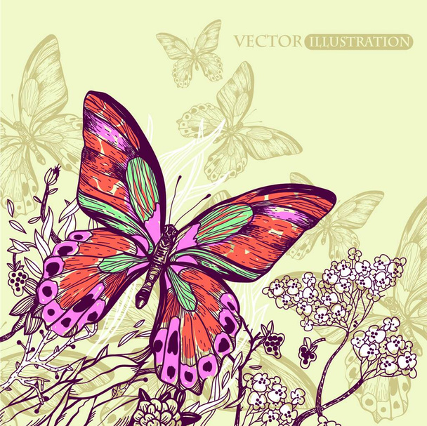 vector illustration of a big colorful butterfly with blooming flowers - Vector, Image