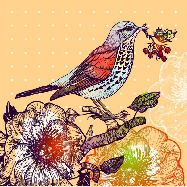 vector illustration of a forest bird and wild roses - Vektör, Görsel