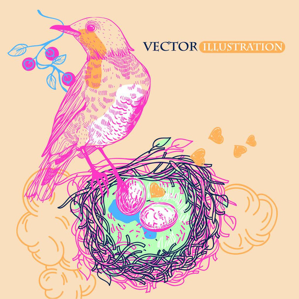 vector illustration of a colorful bird with a nest - Vektör, Görsel