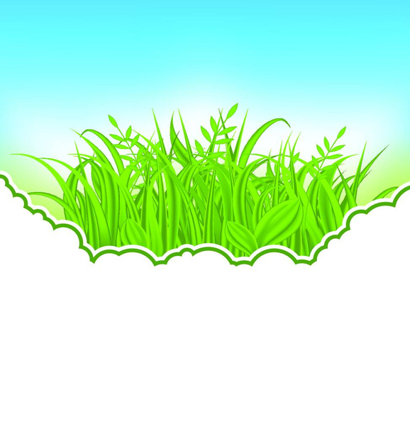 Illustration nature card with green grass - vector - Vettoriali, immagini