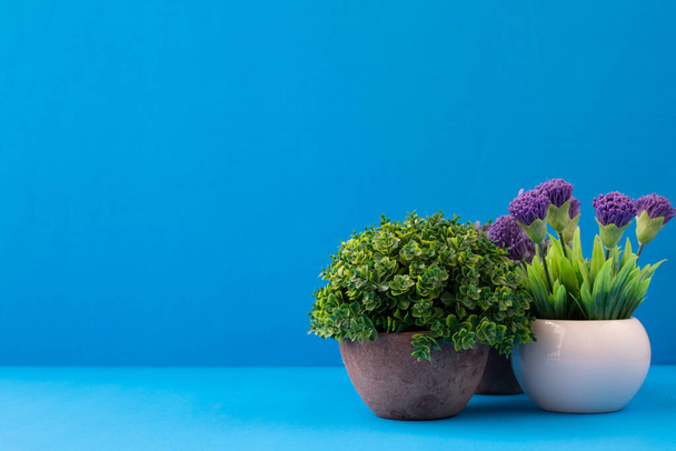 Pots de fleurs sur fond bleu avec espace de copie
. - Photo, image