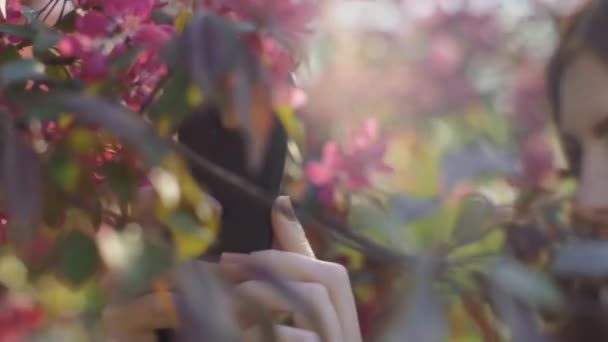 červená vlasy žena fotografování jarní květiny sakura květy - Záběry, video
