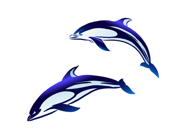 Vector image of dolphins jumping out of the water on a white background - Vector, Image