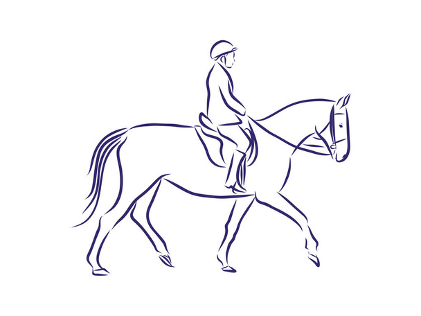 Horseback riding, horsemanship contour vector illustration - Vector, Image